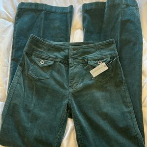 Women’s Anthropologie Pilcro Trouser Pants